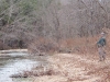 2008-11-28pic047(Barren Fork)(resized)