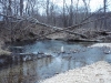 2008-11-28pic111(Spring Creek)(resized)