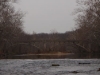 2008-11-29pic045(Niangua River)(resized)
