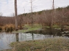 2008-11-28pic052(Barren Fork)(resized)