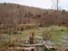 2008-11-28pic055(Barren Fork)(resized)