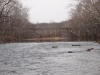 2008-11-29pic044(Niangua River)(resized)