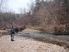 2008-11-30pic016(Roaring River)(resized)