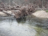 2008-11-30pic020(Roaring River)(resized)