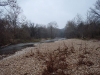 2008-11-30pic024(Roaring River)(resized)