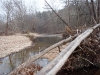 2008-11-30pic025(Roaring River)(resized)