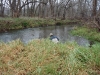 2008-11-30pic115(Crane Creek)(resized)
