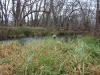 2008-11-30pic117(Crane Creek)(resized)