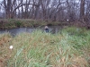 2008-11-30pic118(Crane Creek)(resized)