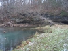 2008-11-30pic129(Crane Creek)(resized)