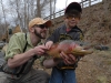 Dry Run Creek Rainbow Trout